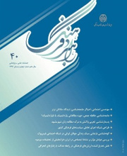 راهبرد فرهنگ