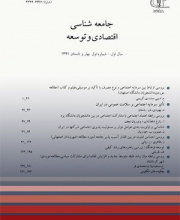 جامعه شناسی اقتصادی و توسعه